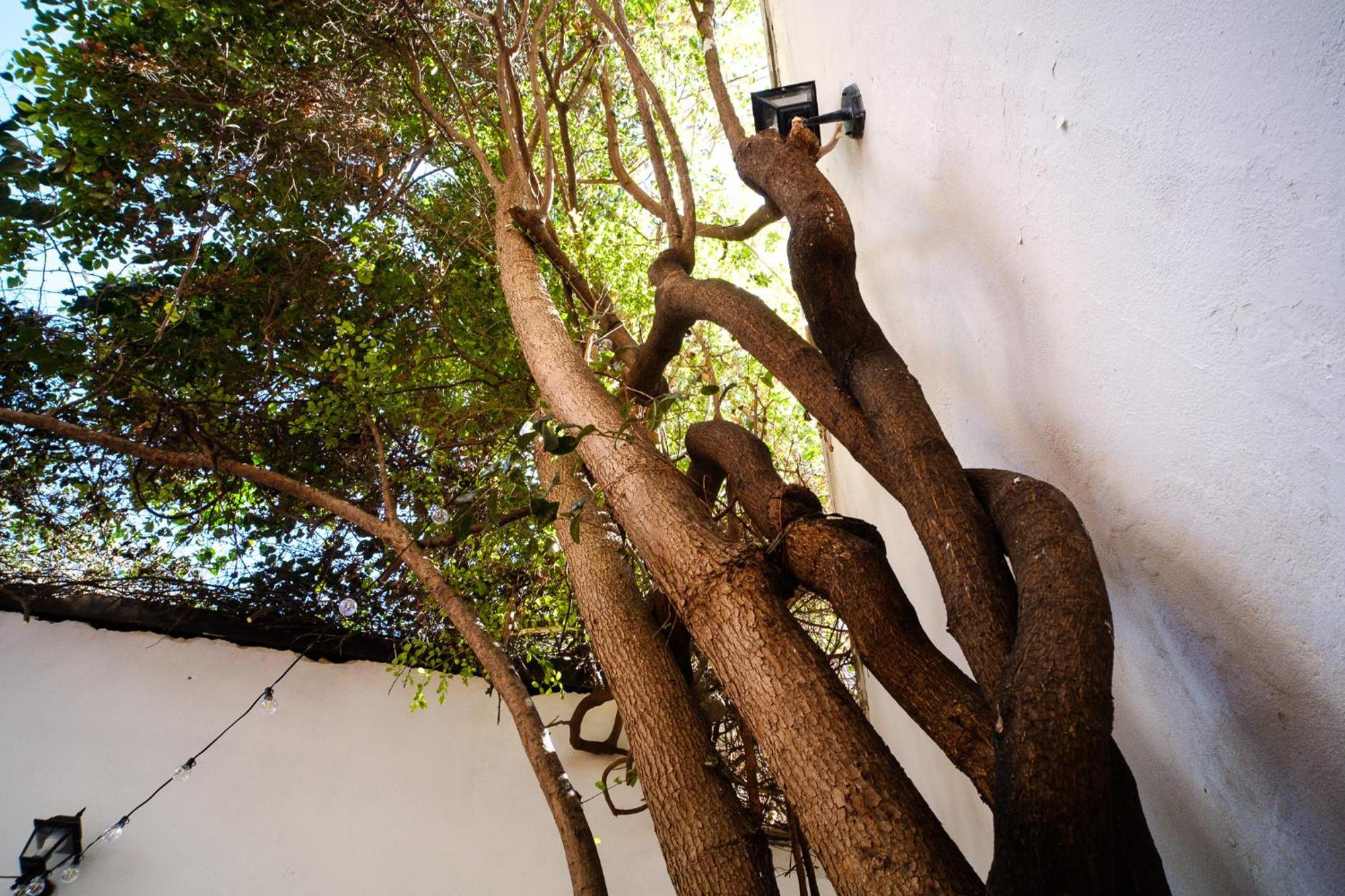 Casa Messe Villa Palermo Esterno foto